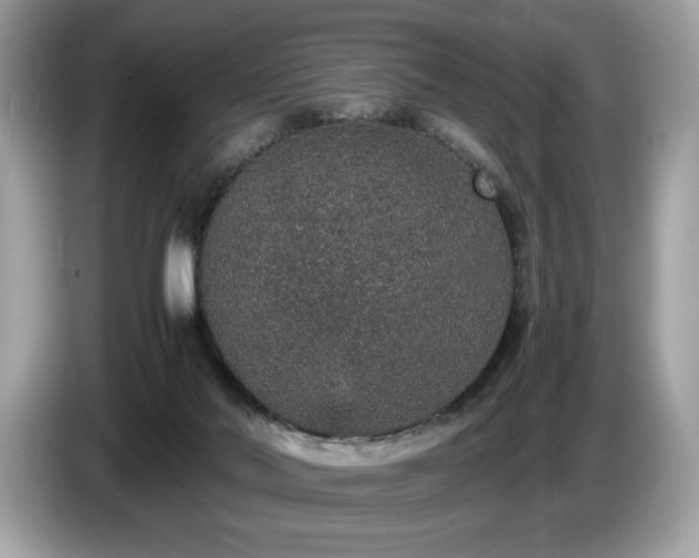 X0000087560022200704271234