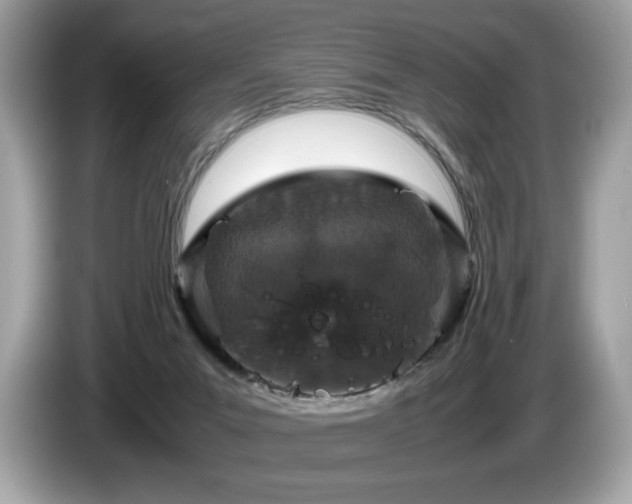 X0000087560023200704271234