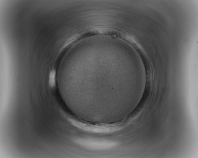 X0000087560024200704271234