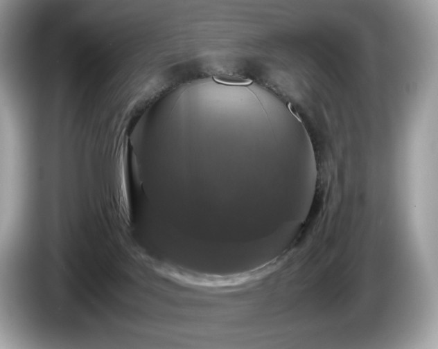 X0000087560027200704271234