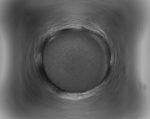 X0000087560029200704271234