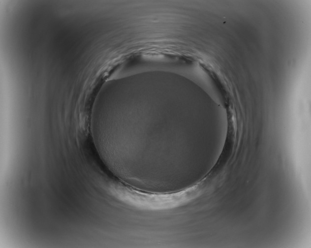 X0000087560031200704271234