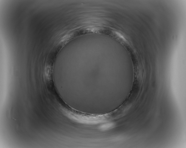 X0000087560036200704271234