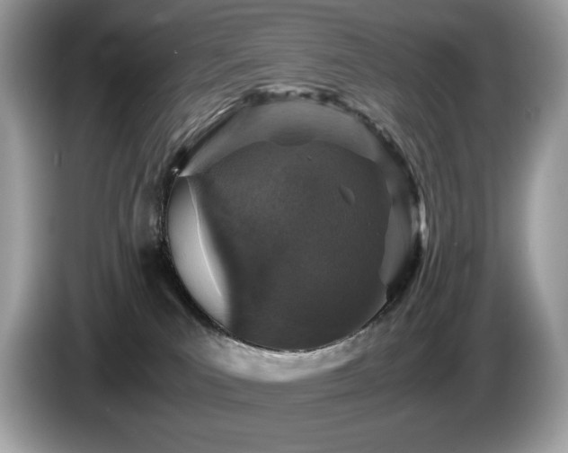 X0000087560039200704271234