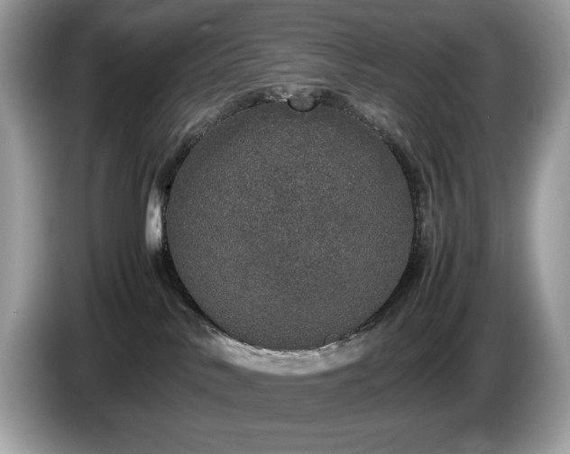 X0000087560042200704271234