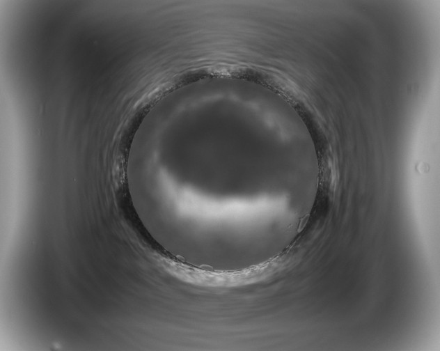X0000087560043200704271234