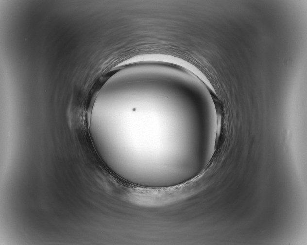 X0000087560045200704271234