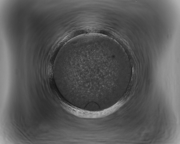 X0000087560048200704271234