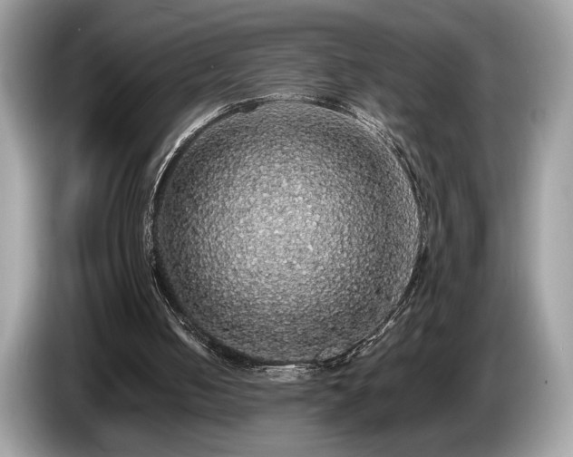 X0000087560050200704271233