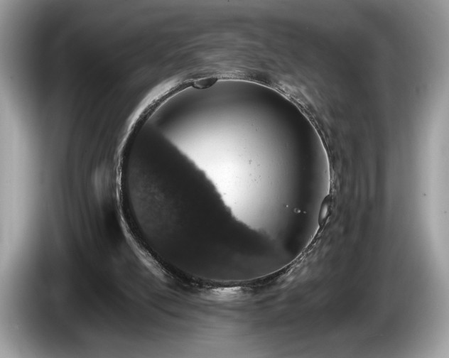 X0000087560054200704271233