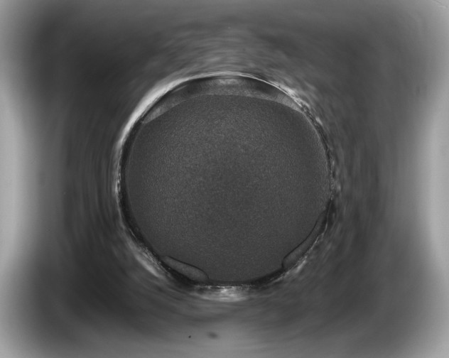X0000087560056200704271233