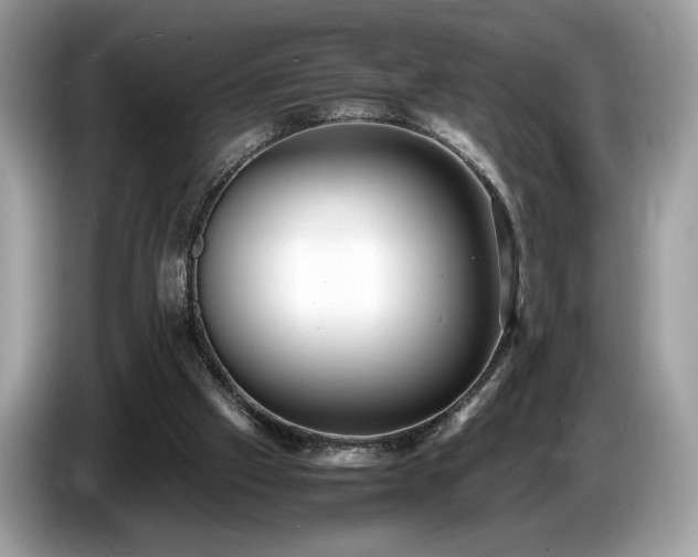 X0000087560057200704271233