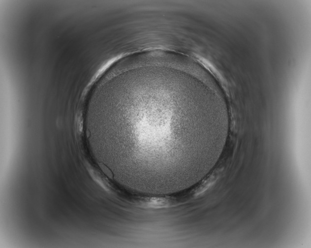 X0000087560060200704271233
