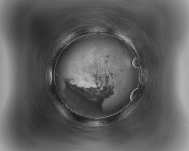 X0000087560061200704271233