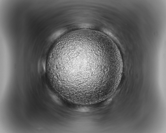 X0000087560062200704271233