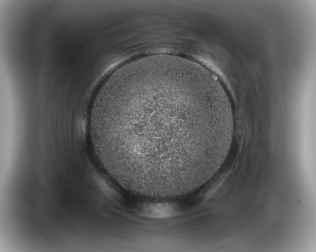 X0000087560063200704271233
