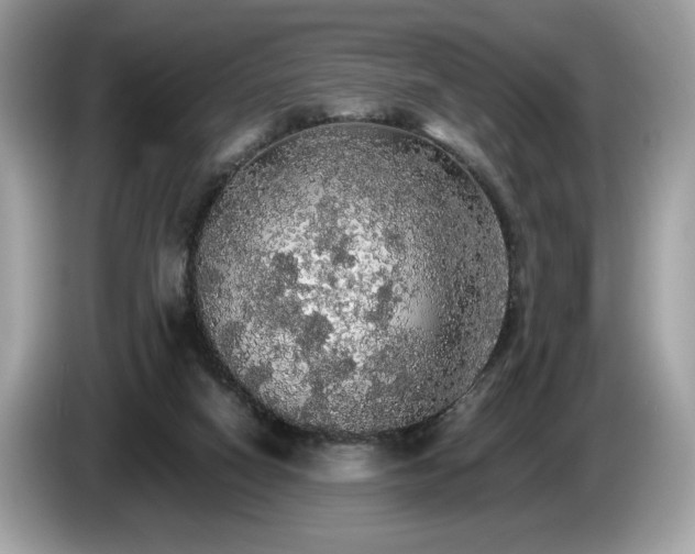 X0000087560066200704271233