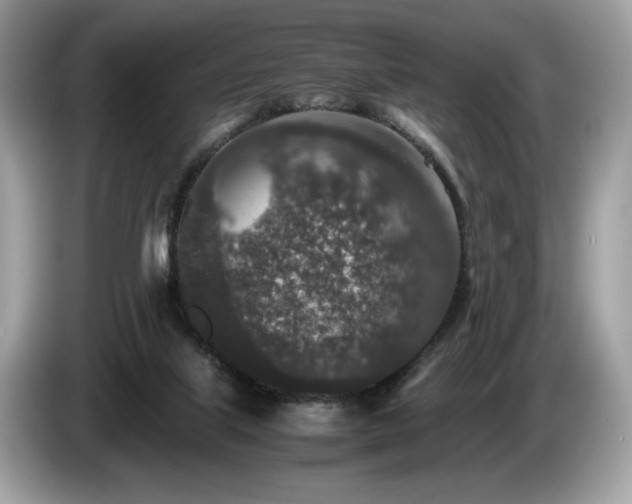 X0000087560067200704271233