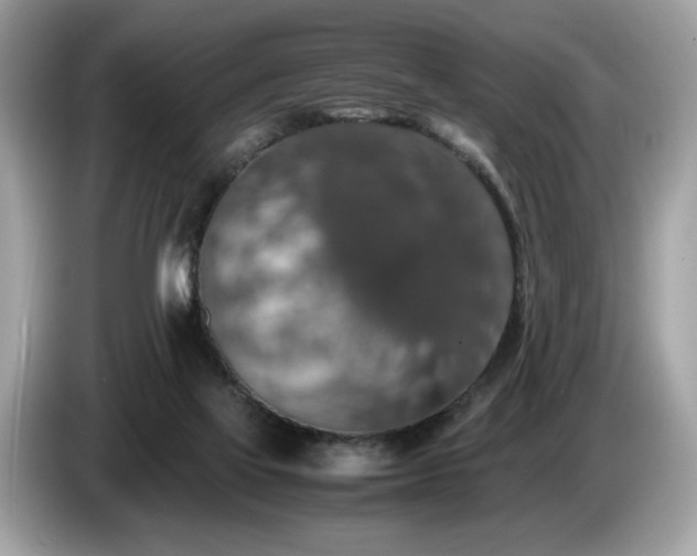 X0000087560069200704271233