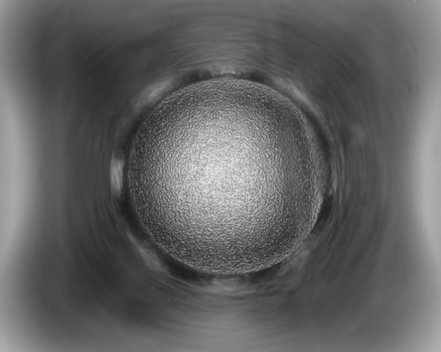 X0000087560070200704271233