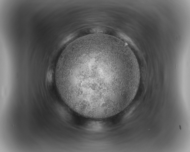 X0000087560071200704271233