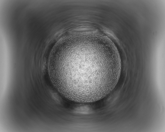 X0000087560073200704271233