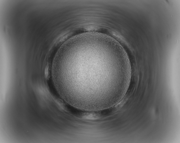 X0000087560074200704271233