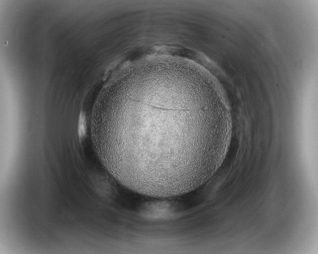 X0000087560075200704271233