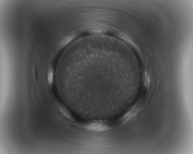 X0000087560076200704271233