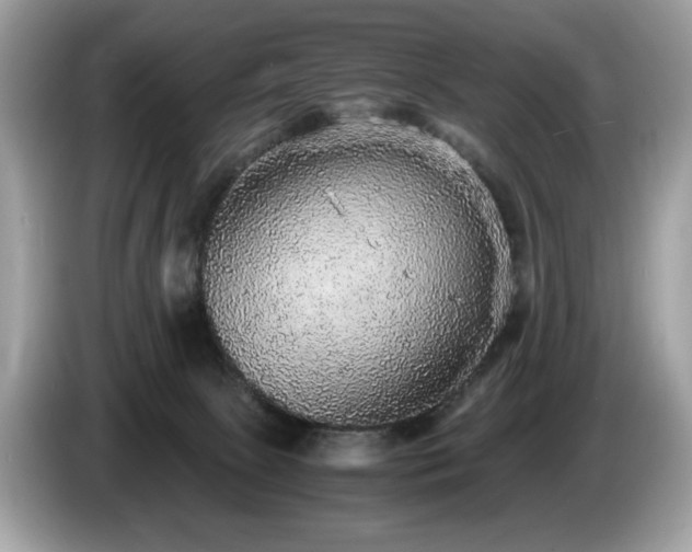 X0000087560081200704271234
