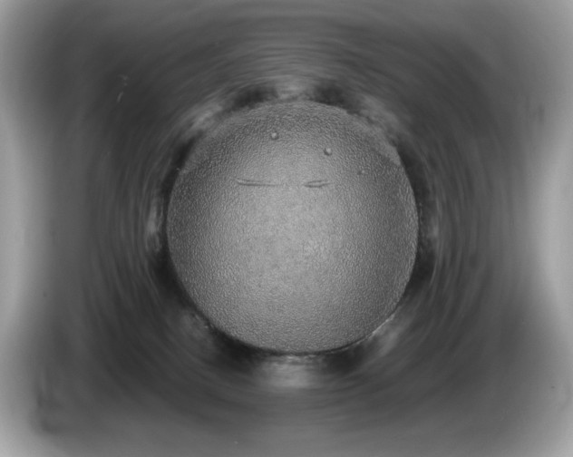 X0000087560082200704271234