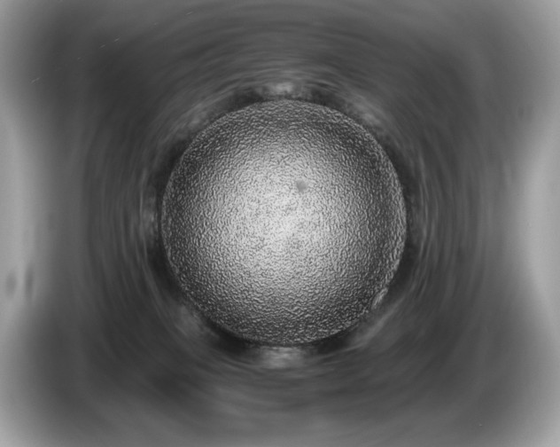 X0000087560085200704271234