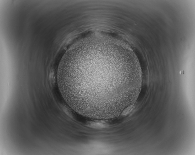 X0000087560086200704271234