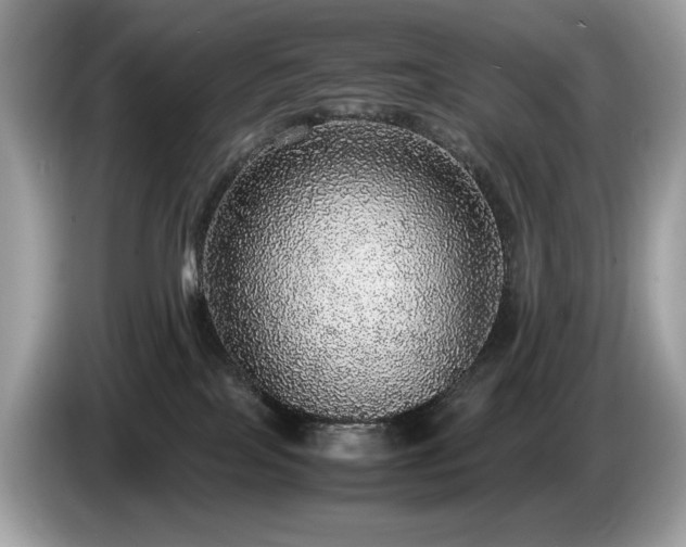 X0000087560089200704271234