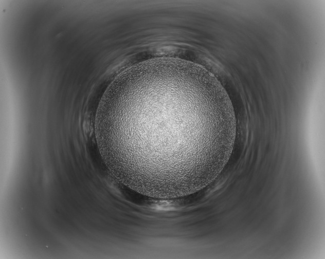 X0000087560091200704271234