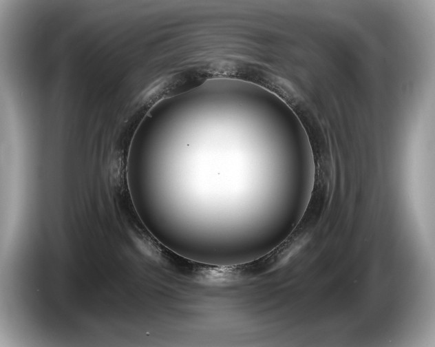 X0000087560092200704271234
