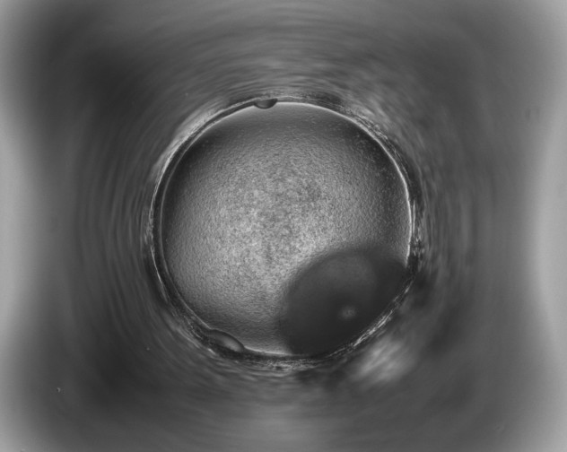 X0000087560099200704271233