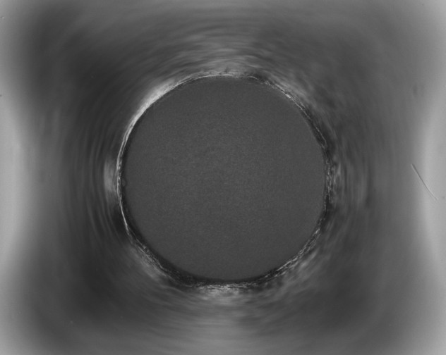 X0000087560100200704271233