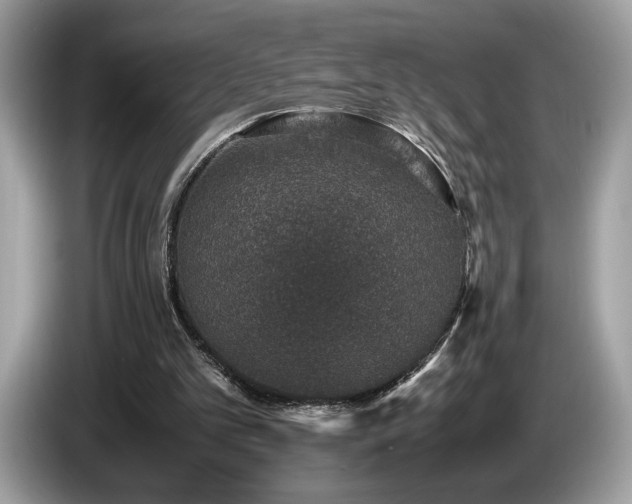 X0000087560101200704271233