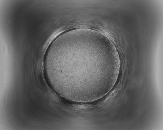 X0000087560103200704271233