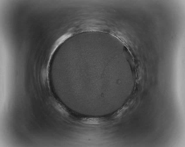 X0000087560104200704271233