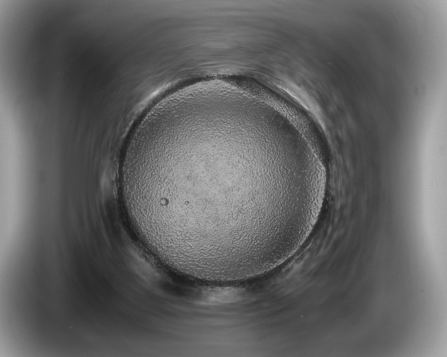 X0000087560107200704271233