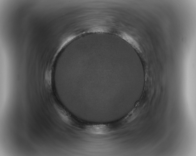 X0000087560108200704271233