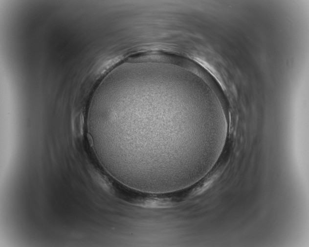 X0000087560109200704271233