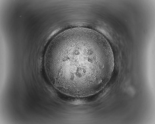 X0000087560111200704271233