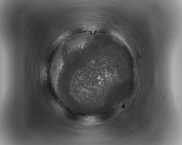 X0000087560114200704271233