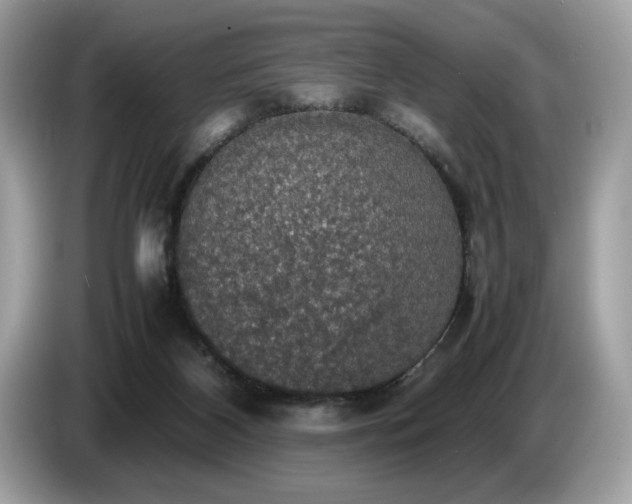 X0000087560116200704271233