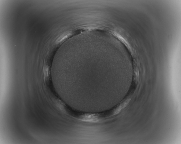 X0000087560117200704271233