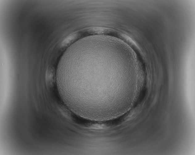 X0000087560119200704271233