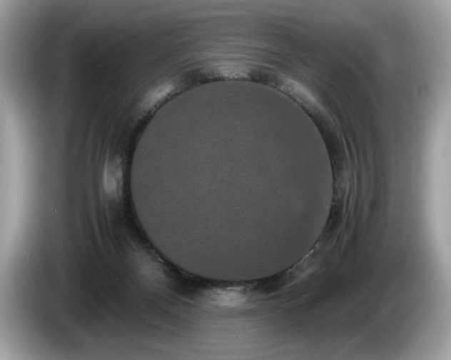 X0000087560120200704271233